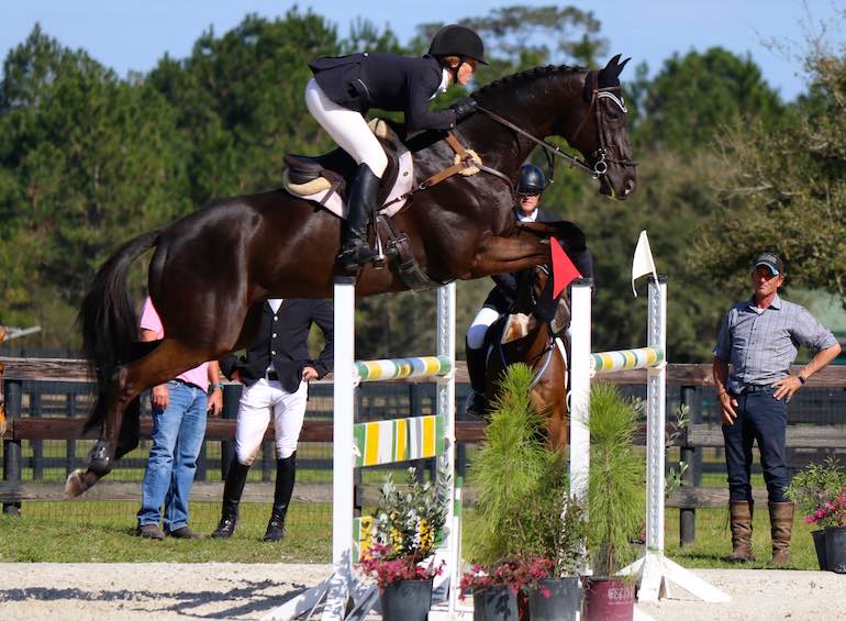 What makes an owner tick? – Susan Day and the Simply Priceless Syndicate