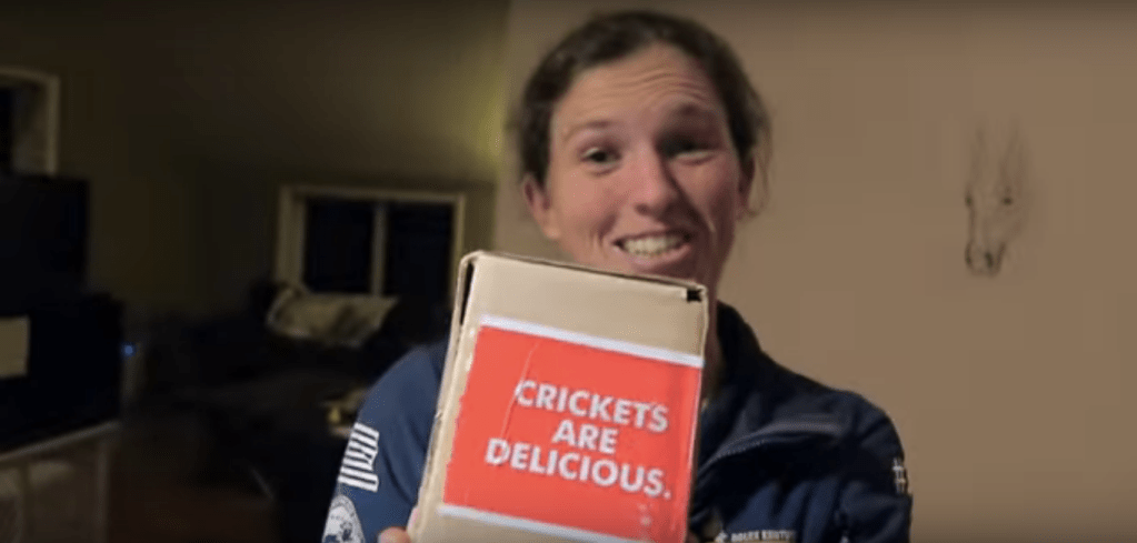 Crickets are delicious