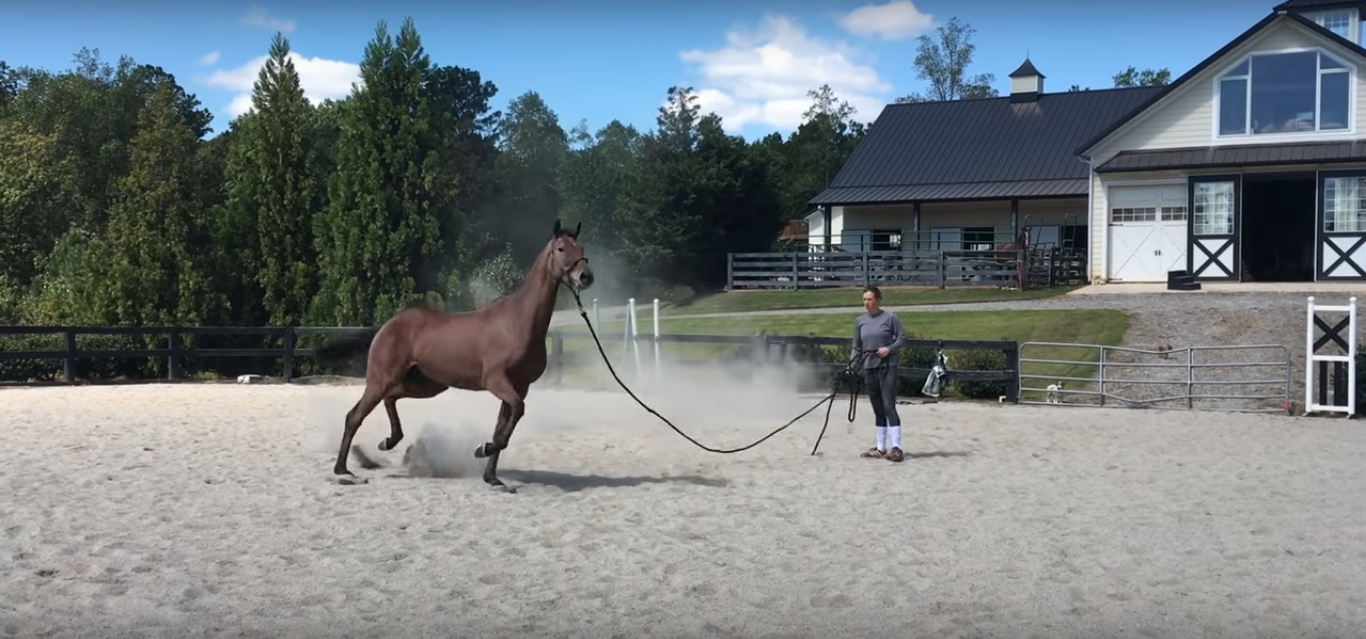 New Beginnings and Tearful Goodbyes