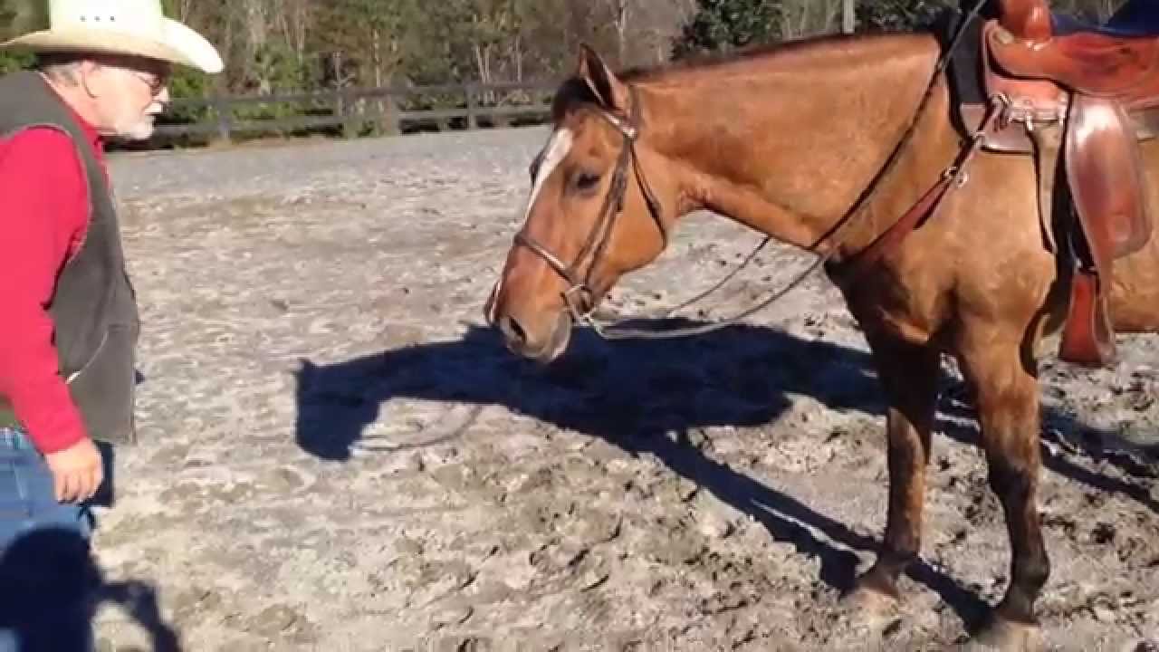 MRI and Pickle Juice