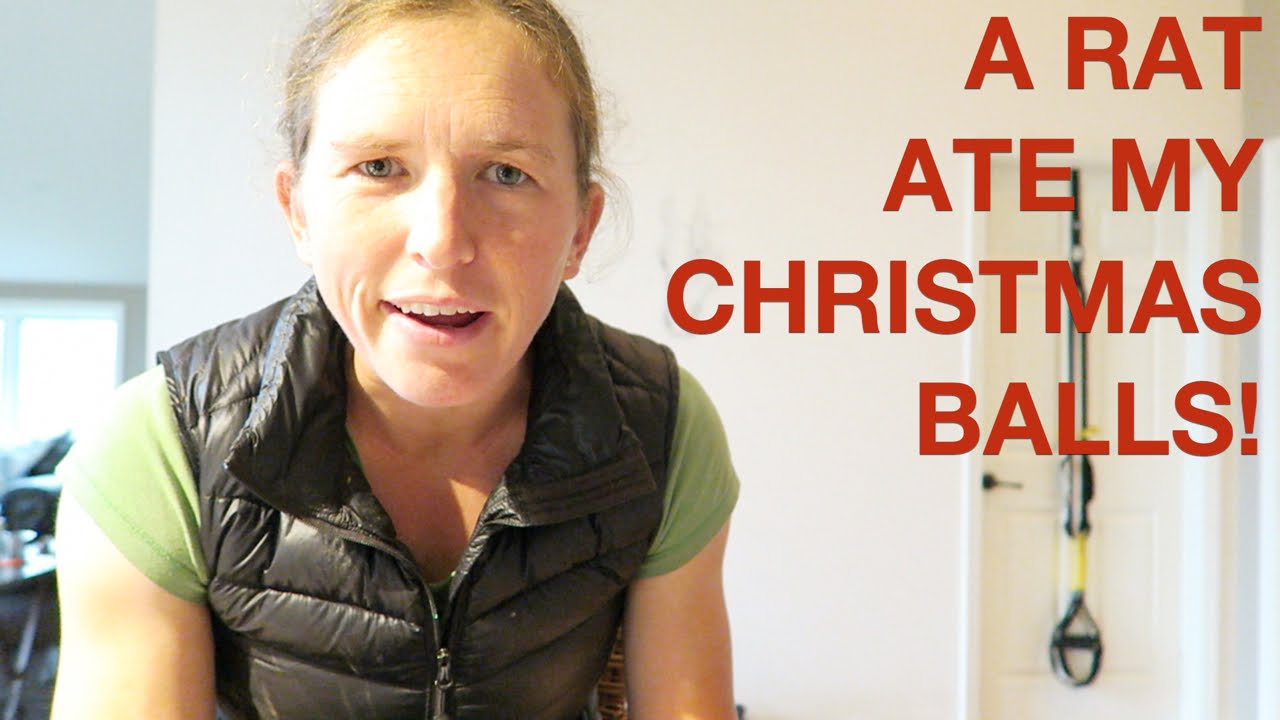 A Rat ate my Christmas balls!