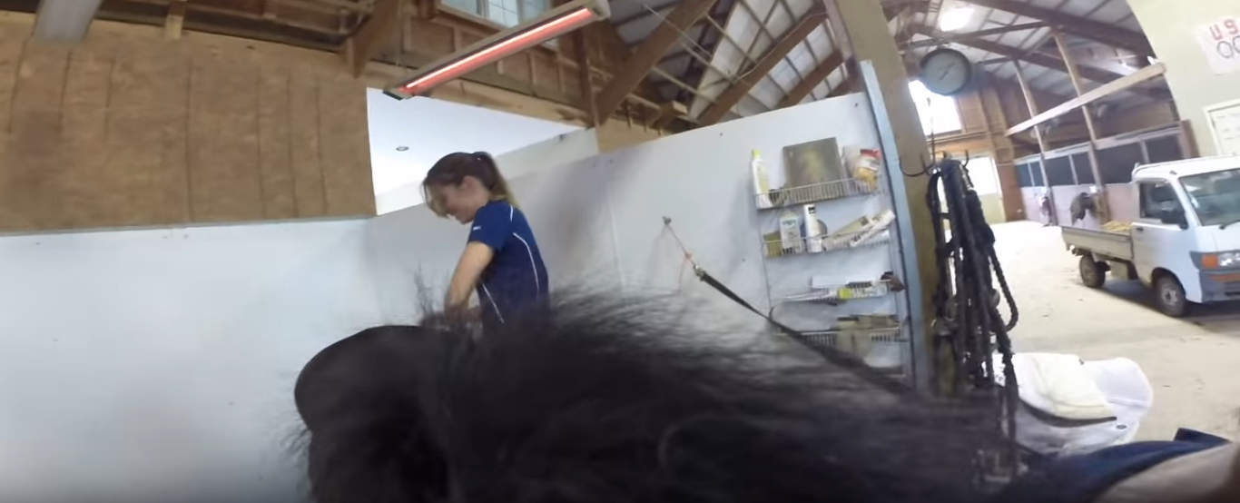 Spa Day for the Ponies