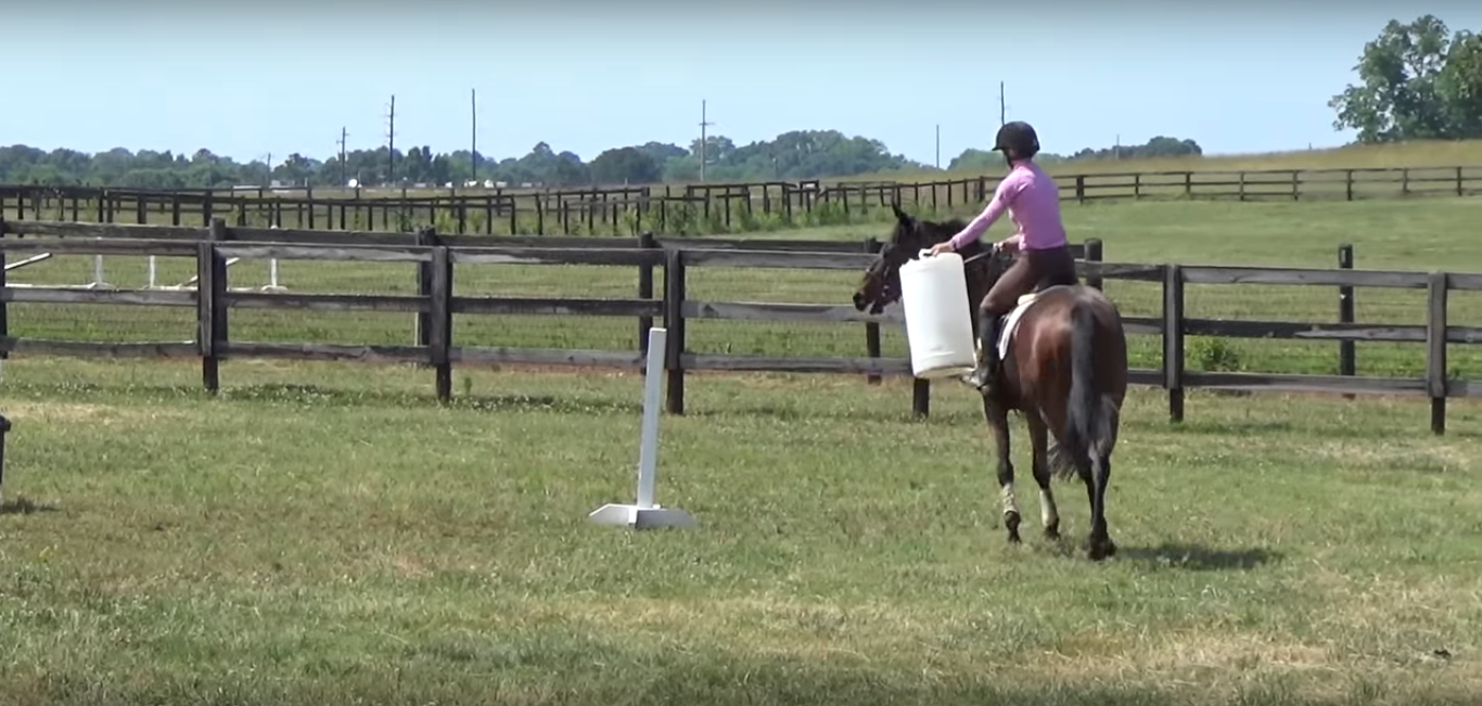 Off The Hook Thoroughbreds