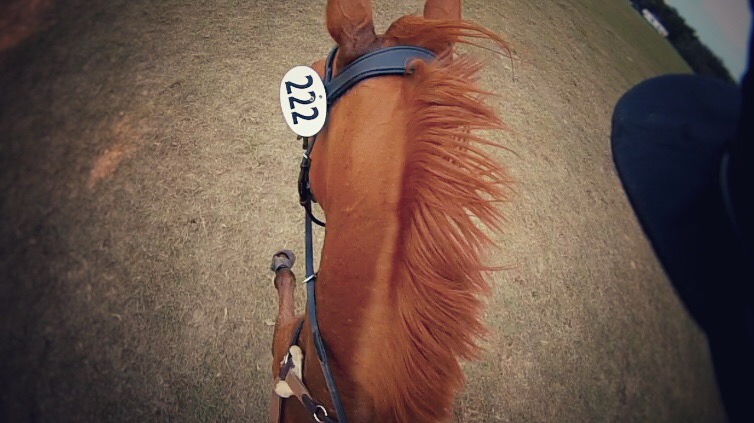 Indiana Chrome’s first Training!