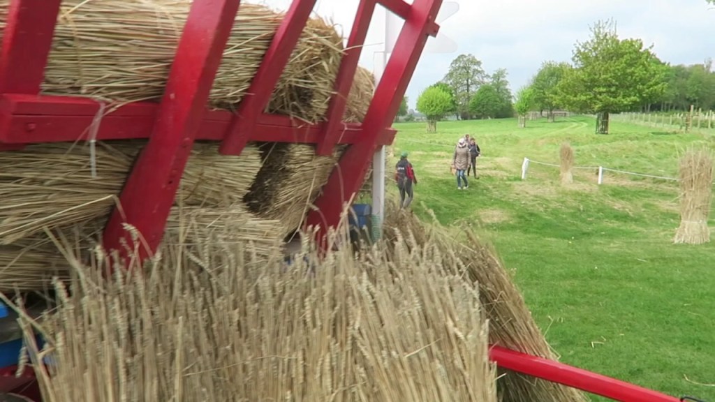 Badminton Horse Trials 2017: The&nbsp;Jog