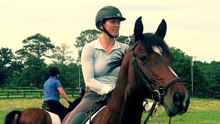 North Atlanta Equestrian