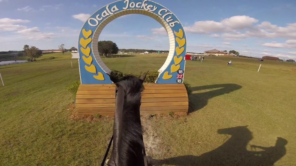 Ten Top Videos from 2017 You May Have&nbsp;Missed