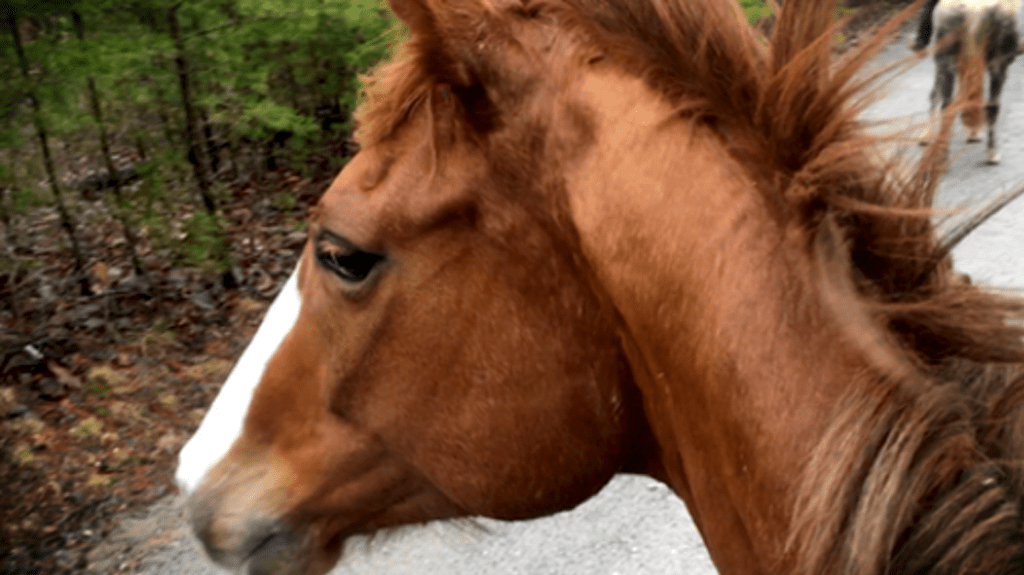 Building trust and working on&nbsp;transitions