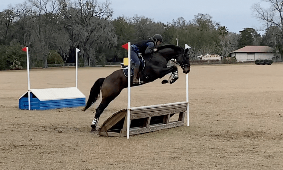 Introducing a Young Horse to Cross&nbsp;Country